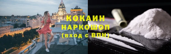 хмурый Алзамай