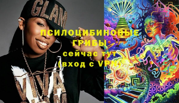 хмурый Алзамай